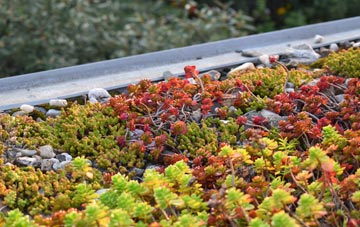 the cost of Barton Court green roof installation
