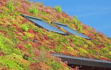 Barton Court living roof systems